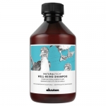 Davines WELL-BEING CHAMPU HIDRATANTE 250ml